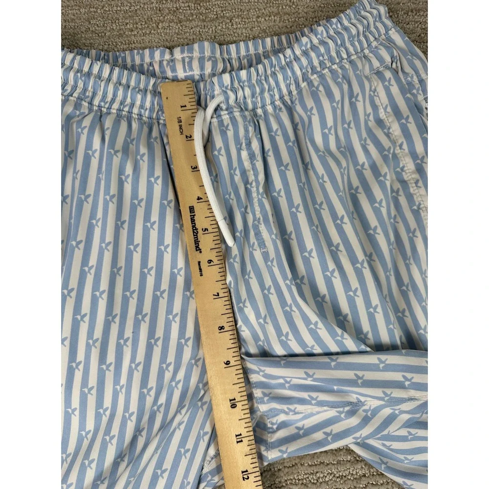 Birddogs Men L Blue White Stripe Hummingbird Lined Gym Athletic Shorts 6
